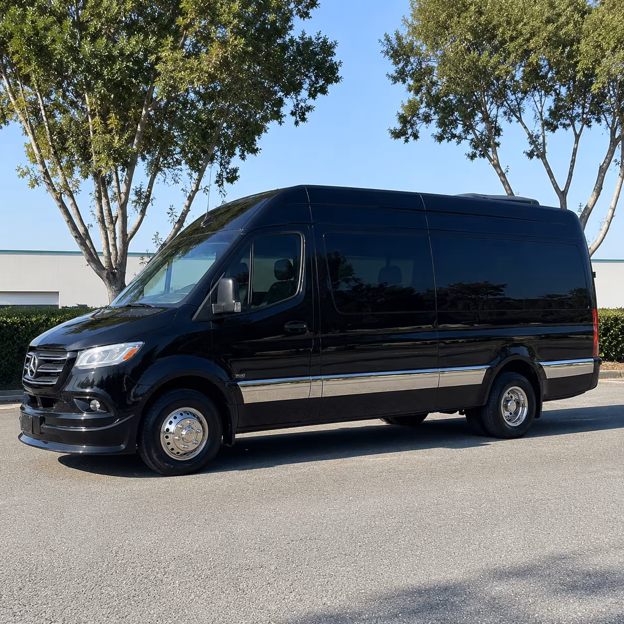 conference and convention attendee sprinter van transportation in gainesville florida