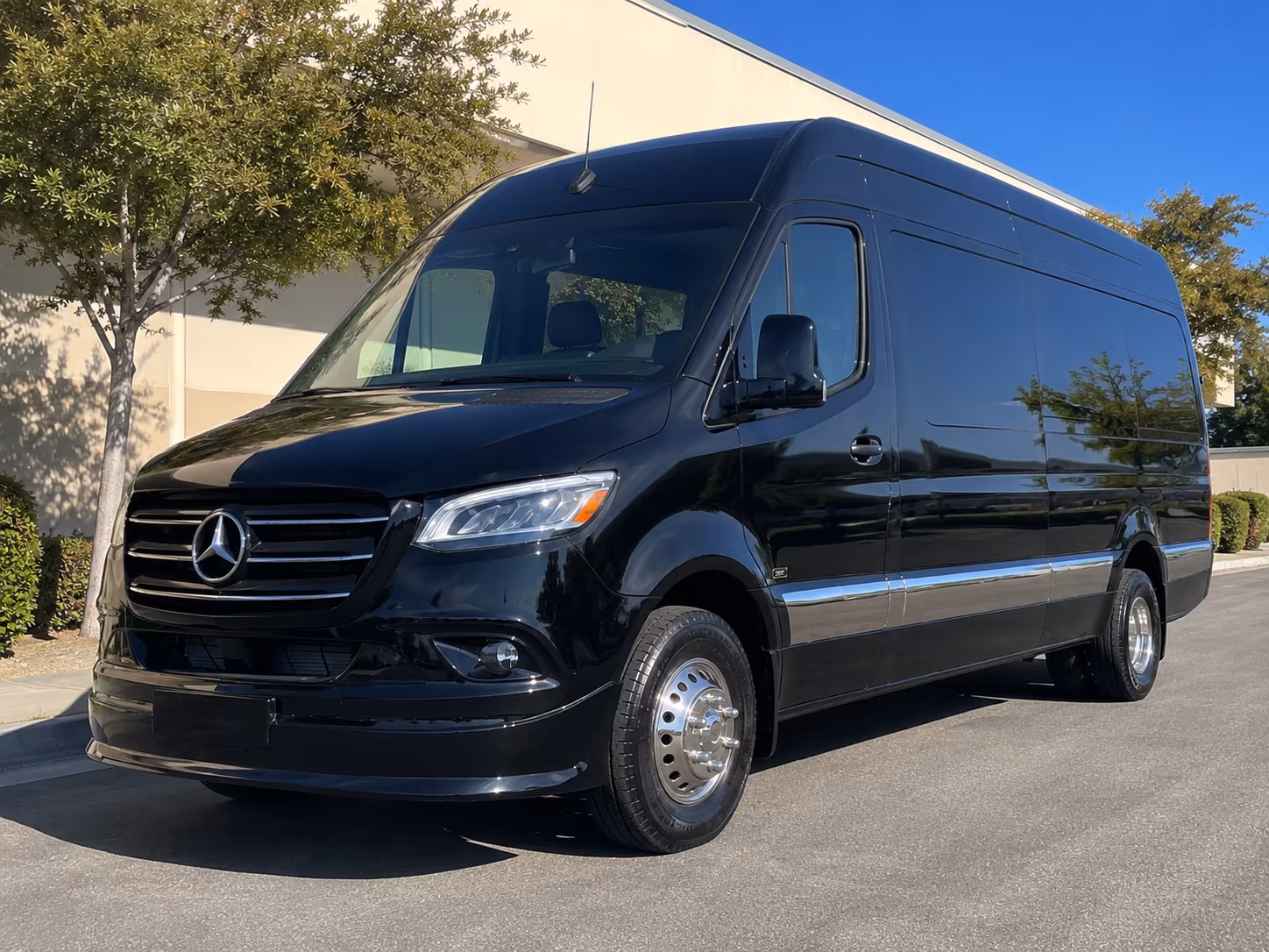 kid and tween birthday sprinter van rentals for gainesville parties